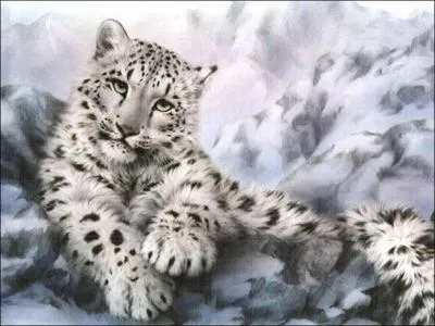 ''... Le lopard tait tout blanc. '' : L'adverbe 'tout' modifie le sens d'un :
