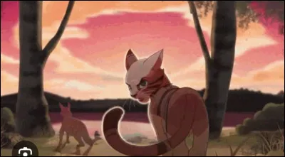 Je suis un guerrier du Vent qui a longtemps combattu pour la For&ecirc;t Sombres et mon clan m'a rejet&eacute; apr&egrave;s la grande bataille. N&eacute;anmoins, gr&acirc;ce au chef, j'ai pu rester dans le clan. Mon p&egrave;re ne m'aimait pas, surtout apr&egrave;s avoir appris ma trahison, et avec ma m&egrave;re, ils n'arr&ecirc;taient pas de se disputer. D'ailleurs, cette derni&egrave;re m'a toujours soutenu et je lui en serai reconnaissant &agrave; jamais.Je suis...