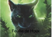 Test ''La Guerre des clans''. Quel est ton véritable clan ?
