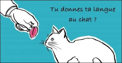 Que signifie l'expression populaire &laquo;&nbsp;Donner sa langue au chat&nbsp;&raquo; ?