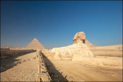 Quelle particularit&eacute; physique &eacute;tonnante poss&egrave;de le chat sphynx ?