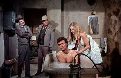 Dans quel film de Don Siegle Clint incarne-t-il un idiot h&eacute;ro&iuml;que ?
