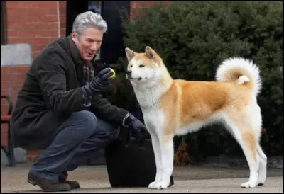 Au Japon, le chien Hachiko est devenu le symbole absolu de la fid&eacute;lit&eacute;. Qu'a-t-il fait pendant pr&egrave;s de 10 ans ?