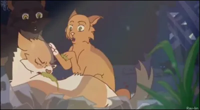 Quel est ton &eacute;l&eacute;ment ?