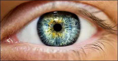 De quelle couleur sont tes yeux ?