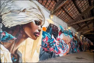Quelle technique visuelle, largement popularis&eacute;e par le Street Art, consiste &agrave; utiliser des plaques de carton ou de plastique d&eacute;coup&eacute;es pour appliquer rapidement de la peinture en bombe sur un mur ?
