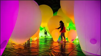 Comment appelle-t-on une &oelig;uvre d'art contemporaine con&ccedil;ue sp&eacute;cifiquement pour un espace donn&eacute;, dans laquelle le spectateur est souvent invit&eacute; &agrave; d&eacute;ambuler ou &agrave; interagir directement ?