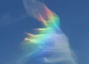 Quiz Rapidité sur les couleurs 🌈