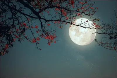 Quelle cr&eacute;ature s'anime sp&eacute;cifiquement lors de la pleine lune ?