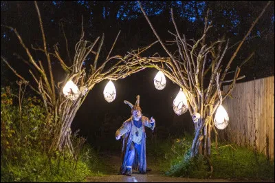 De quelle f&ecirc;te celtique Halloween est-il issu ?