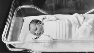 En 1982, comment s'appelle le premier b&eacute;b&eacute; issu d'une f&eacute;condation in vitro ?