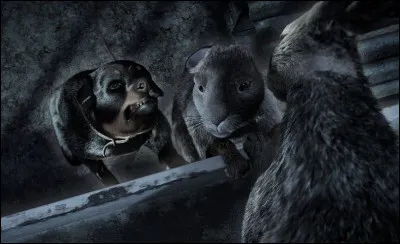 Qui a dit &ccedil;a ? ''On t'a suivi parce que tu nous avais promis une vie meilleure, Hazel !''