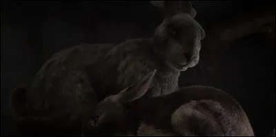 Qui a dit &ccedil;a ? ''Celui qui dit que la mort est le ch&acirc;timent supr&ecirc;me ne conna&icirc;t strictement rien &agrave; la souffrance.''