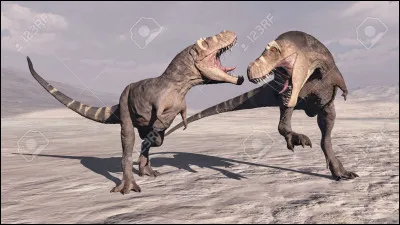 Le Tyrannosaurus courait tr&egrave;s vite, d&eacute;passant les 70 kilom&egrave;tres/heure ?