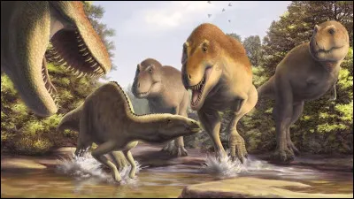 Le Tyrannosaurus rex chassait en groupe :