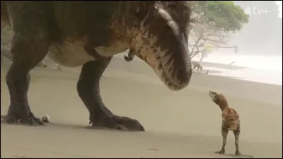 Les m&egrave;res Tyrannosaurus rex ne s'occupaient pas de leurs petits :
