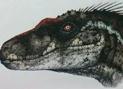 Quiz Le vélociraptor, un chasseur rapide