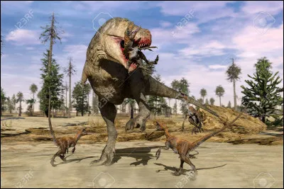 Le V&eacute;lociraptor attaquait-il le Tyrannosaurus rex ?