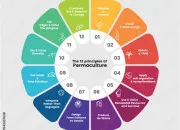 Quiz La permaculture