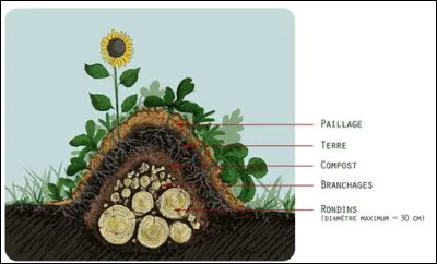 Quelle est la forme des planches les plus pratiqu&eacute;es en permaculture ?
