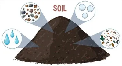 Quelle est la composition id&eacute;ale du sol ? (dite "terre franche")