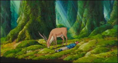 Comment s'appelle la monture d'Ashitaka dans "Princesse Mononok&eacute;" ?