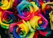 Quiz Quiz de rapidité sur les couleurs !