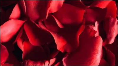Quelle est cette couleur ?