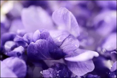 Quelle est cette couleur ?