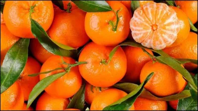 Et quelle est cette couleur ?