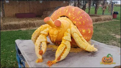 Quel est cet animal ?
