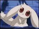 Qui est ce lapin trop chou ?
