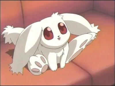Comment s'appelle ce lapin ?
