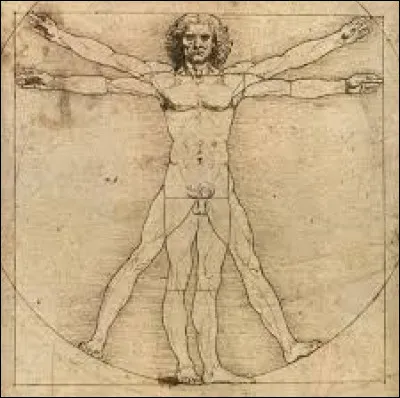 Sous quel nom est connu ce dessin de Léonard de Vinci (1492 ) ? Cette étude sur le corps humain est conservée à la "Gallerie dell'Accademia'' de Venise :