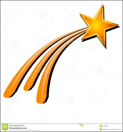 Quand vous voyez une étoile filante vous devez :