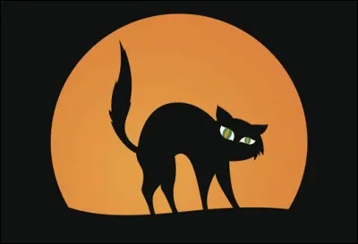 Si vous avez eu 'tout faux' à ce quiz c'est que :