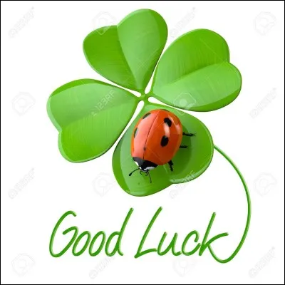 Lequel de ces objets porte bonheur ?