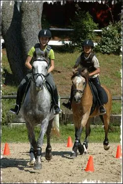 Que doit-on obligatoirement enfiler pour se protger le dos l'hors d'un parcourt de cross ?