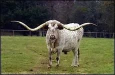 L'extrme sud de l'tat se trouve  la latitude de...