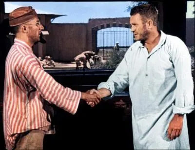 De quel lieu Dustin Hoffman et Steve McQueen tentent-ils de s'vader dans 'Papillon' ?