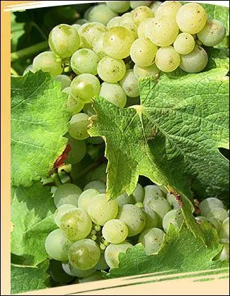 Comment se nomment les habitants du Loir-et-Cher ?