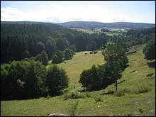 Quel est le numro de ce dpartement ?