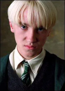 C'est le pire ennemi de Harry, Ron et Hermione.