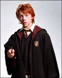 C'est le meilleur ami de Harry et Hermione.