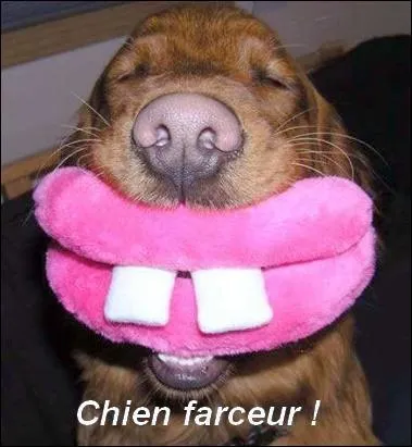 Sa lanterne a comme origine :