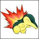 Qui est ce pokemon ?