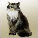 Que lui donne-t-on quand on ne sait pas rpondre  la question du quizz ?