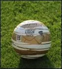 Ce ballon est celui de quelle coupe ?