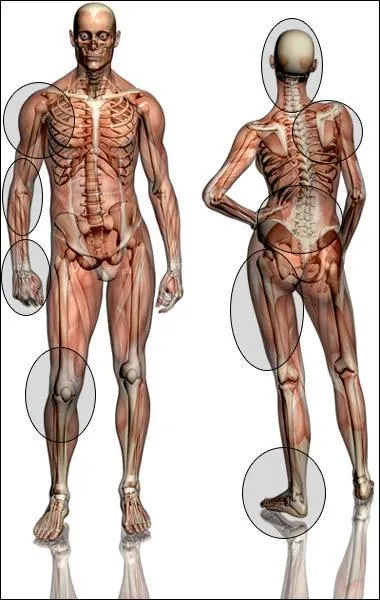 Thme Corps Humain : Qu'est-ce qui permet la transmission de la douleur dans le corps humain ?