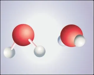 Thme Science Quotidienne : Combien un morceau de sucre contient-il de calories ?
